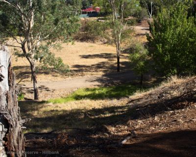 Spa Ao 190215 Michaelcrescentreserve 5791