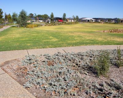 Spa Ao 190215 Springstreetreserve 5787