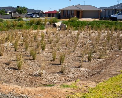 Spa Ao 190215 Springstreetreserve 5781