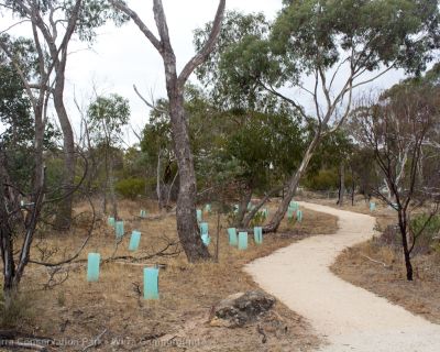 Spa Ao 190213 Parawirra 5742