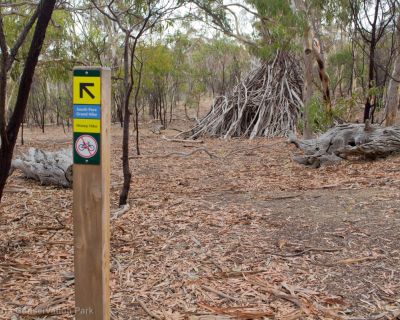 Spa Ao 190213 Parawirra 5728