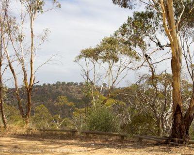 Spa Ao 190213 Parawirra 5713