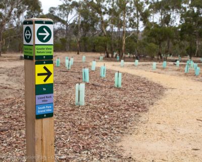 Spa Ao 190213 Parawirra 5680