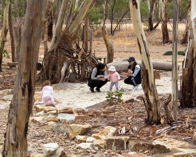 Spa Ao 190213 Parawirra 5668