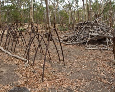 Spa Ao 190213 Parawirra 5672