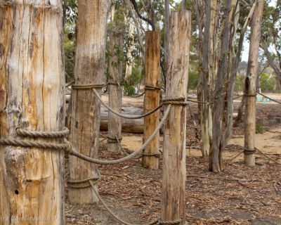 Spa Ao 190213 Parawirra 5661