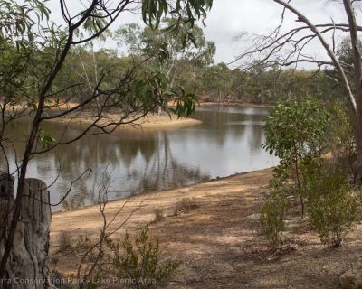 Spa Ao 190213 Parawirra 5629