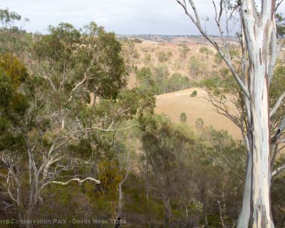 Spa Ao 190213 Parawirra 5590