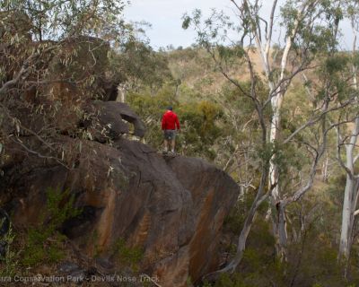 Spa Ao 190213 Parawirra 5581