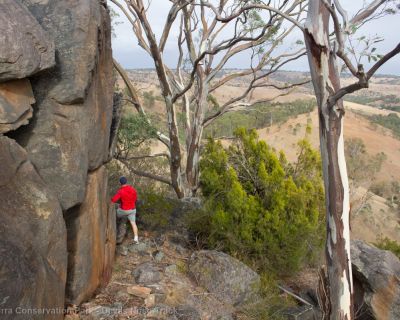 Spa Ao 190213 Parawirra 5569