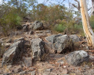 Spa Ao 190213 Parawirra 5538