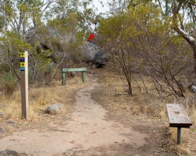 Spa Ao 190213 Parawirra 5543