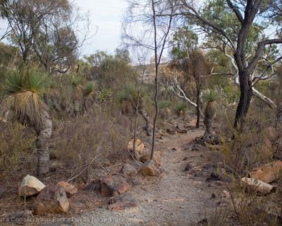 Spa Ao 190213 Parawirra 5521