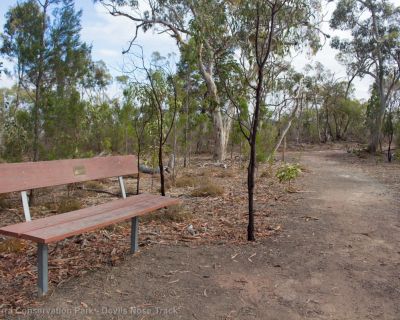 Spa Ao 190213 Parawirra 5511