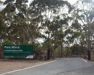 Spa Ao 190213 Parawirra 5503