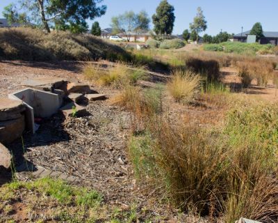 SPA-AO_190215_Keane Reserve_5775