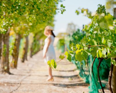 CS MC 180216 Tenafeate Creek Wines 74