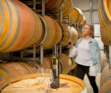 Viticulture