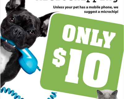 Screen Shot 2020 08 06 at 10 49 00 am